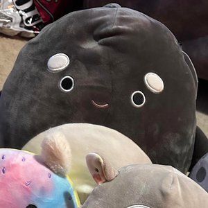 NWT Kai the whale squishmallow